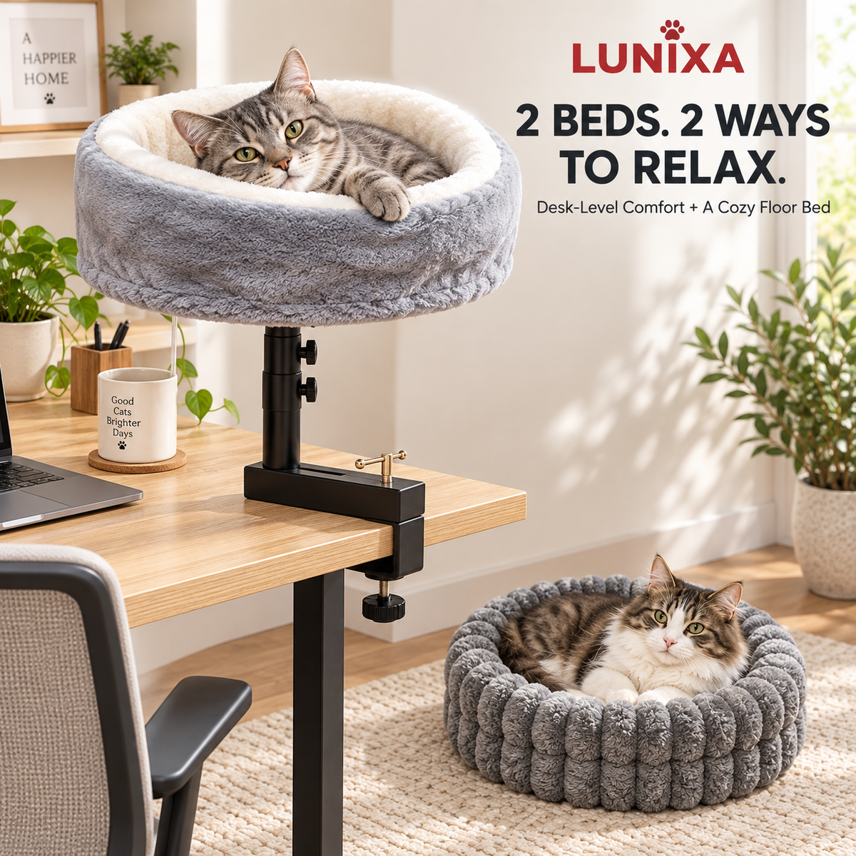 LUNIXA 2-in-1 Desk-Mounted Cat Bed Set