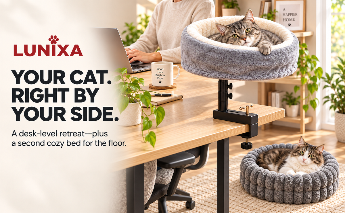 LUNIXA 2-in-1 Desk-Mounted Cat Bed Set